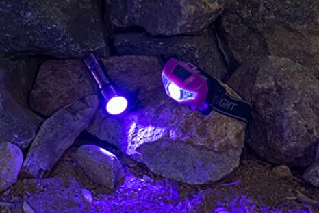 3.75"/1 Watt/395NM Adjustable Beam Ultraviolet Flashlight W/Lanyard (Purple)