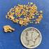 representative image of 1.2 grams of gold with dime for scale