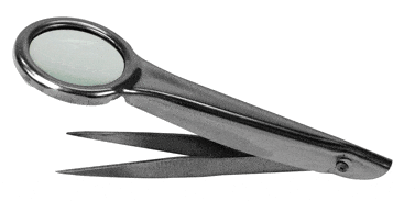 Stainless Steel Tweezer/Magnifier